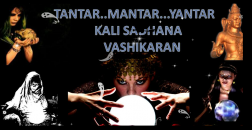 Vashiskaran Specialist logo